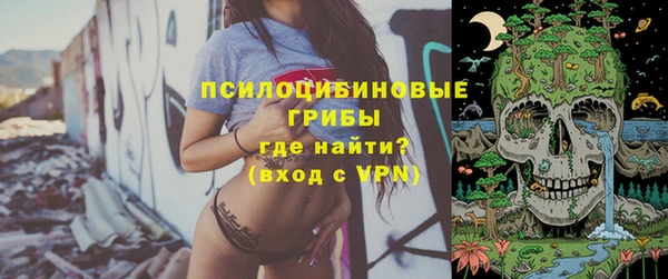 крисы Абдулино