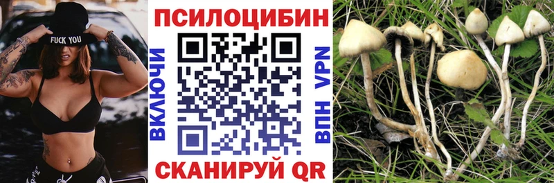 Галлюциногенные грибы мицелий  купить  цена  даркнет формула  Сясьстрой 